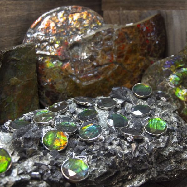 Ammonite