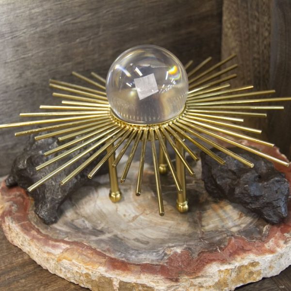 Meteorite & Petrified Wood (天铁&木化石)