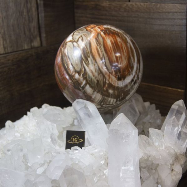 Petrified Wood