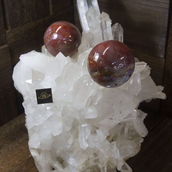 Petrified Wood Sphere (木化玉)