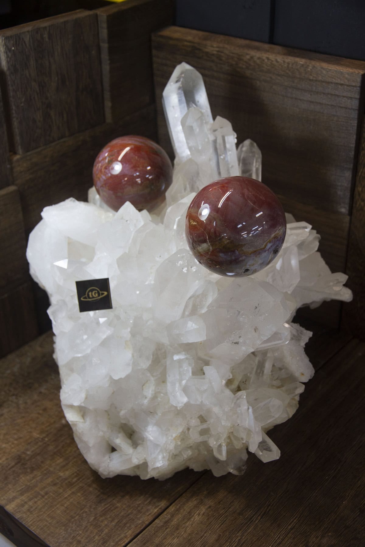 petrified-9399
