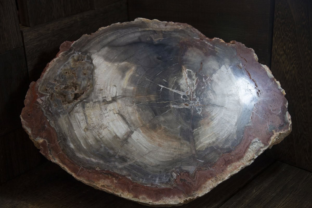petrified-9439